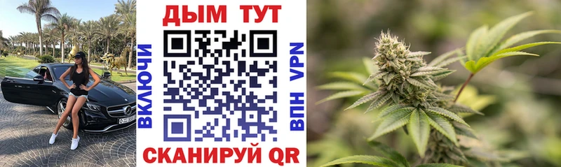 Магазин наркотиков Ленинск-Кузнецкий Псилоцибиновые грибы  COCAIN  Меф  Гашиш 