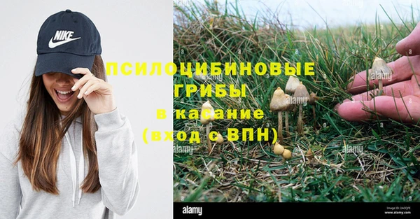 таблы Алексеевка