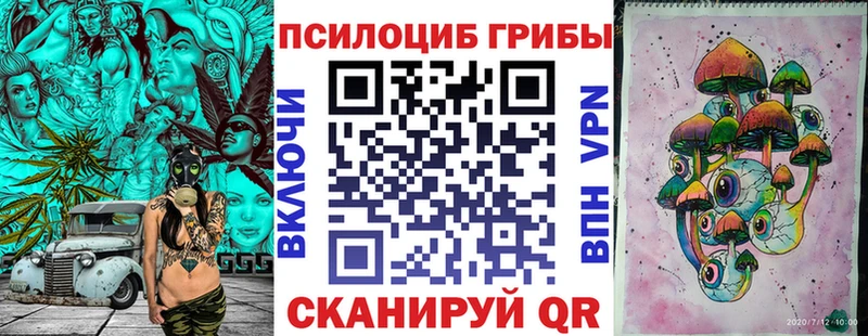 Псилоцибиновые грибы Psilocybe  Ленинск-Кузнецкий 